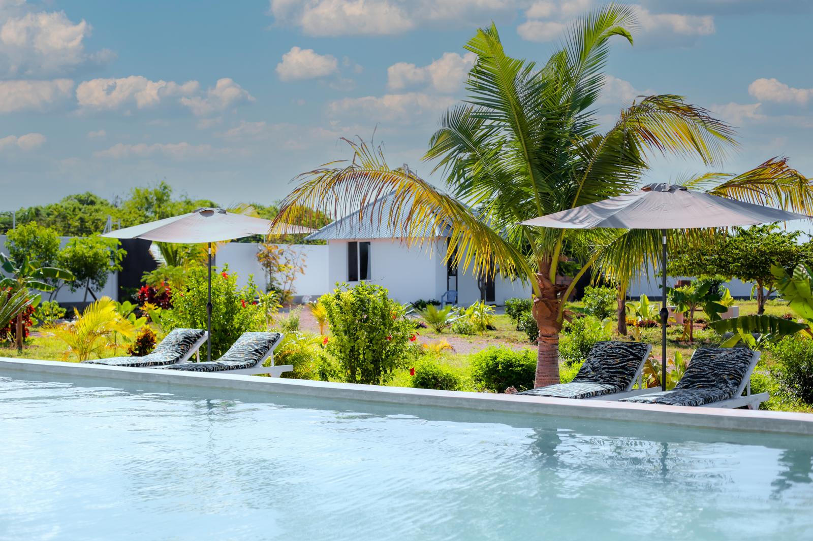 Mus Home Zanzibar tropical garden and pool